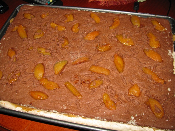 Kokosovo-marhuľová dobrota (fotorecept) - obrázok 6