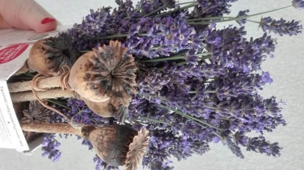 Levanduľový sirup - obrázok 1