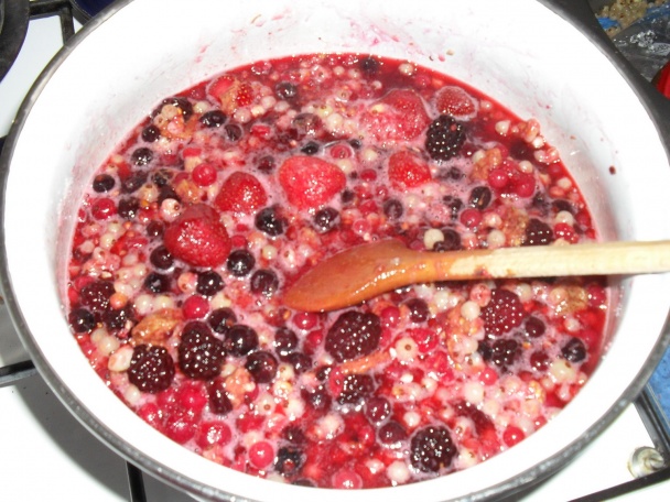 Ovocný mix-sypaný koláč - obrázok 4