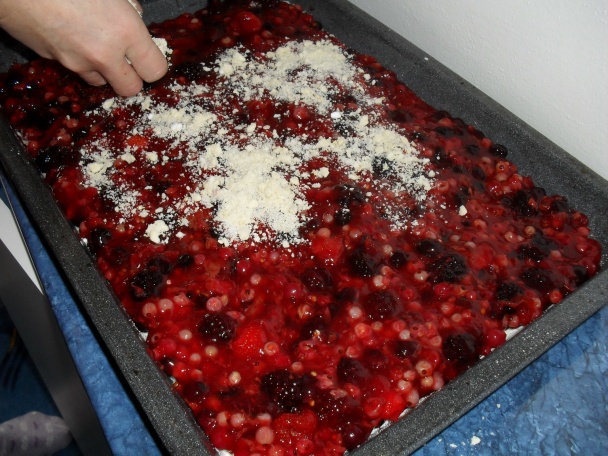 Ovocný mix-sypaný koláč - obrázok 10