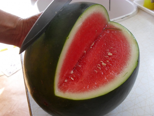 Ovocný košík z melóna - obrázok 1