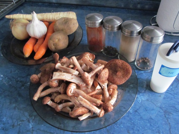 Hríbovo-hubová polievka s melencami (fotorecept) - obrázok 2