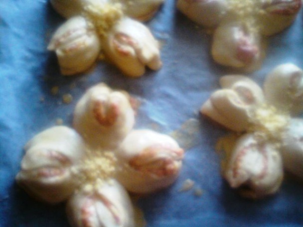 Šunkové kvetiny - fotopostup - obrázok 11