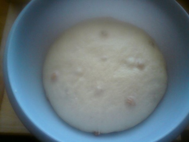 Slávinky (fotorecept) - obrázok 5