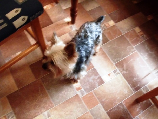 Banánový zákusok s mascarpone - obrázok 10