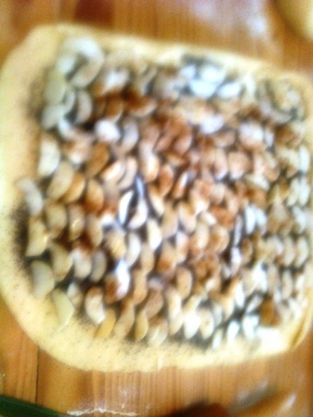 Kysnutý chladený jablkový závin (fotorecept) - obrázok 7