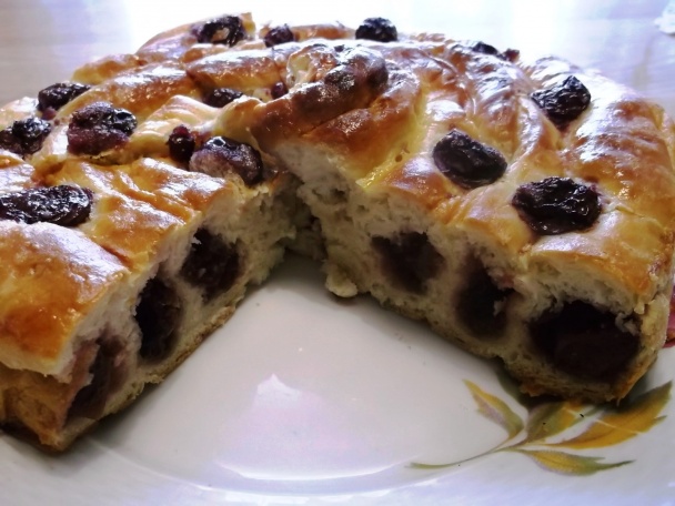 Okatý višňový slimák (fotorecept) - obrázok 13