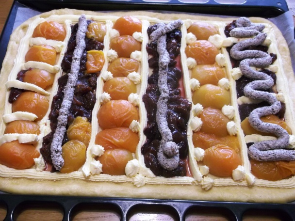 Kysnutý posúch rôznych chutí (fotorecept) - obrázok 5