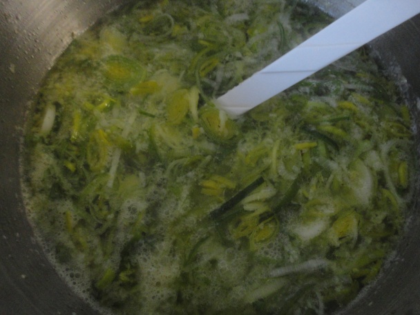 Cesnačka (fotopostup) - obrázok 4