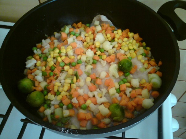 Pangasius s nivou (fotorecept) - obrázok 1
