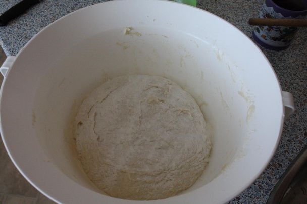 Povrchový štedrák (fotorecept) - obrázok 1