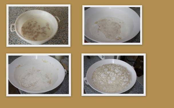 Osie hniezda (fotorecept) - obrázok 1