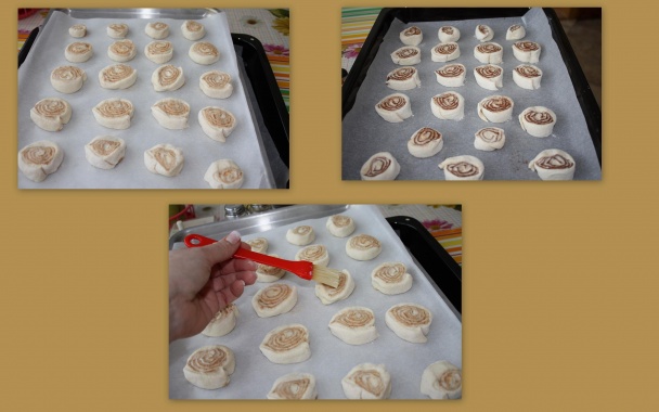 Osie hniezda (fotorecept) - obrázok 4