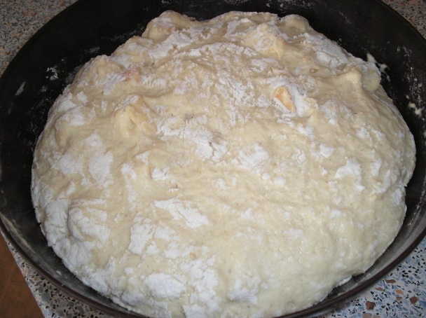 Kysnuté žemľové knedle (fotorecept) - obrázok 6