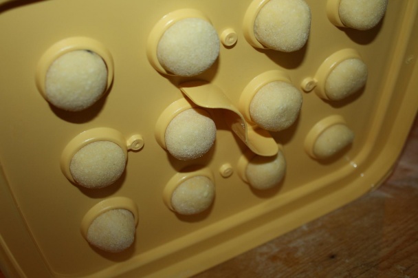 Tvarohové ravioli so slivkami (fotorecept) - obrázok 8