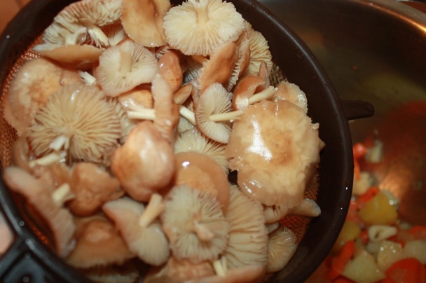 Špičková polievka (fotorecept) - obrázok 3