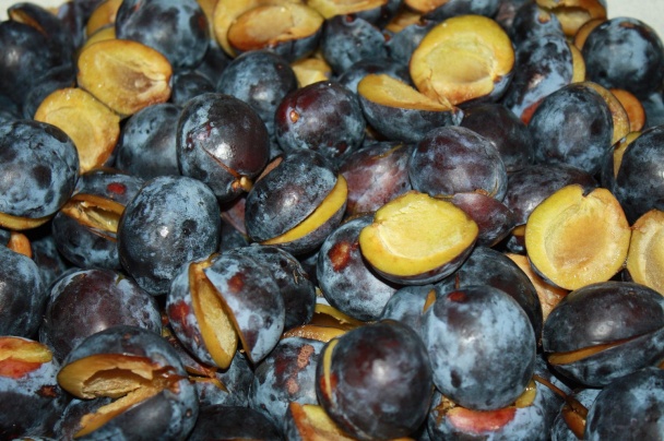 Slivkový lekvár (fotorecept) - obrázok 2