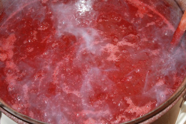 Slivkový lekvár (fotorecept) - obrázok 5