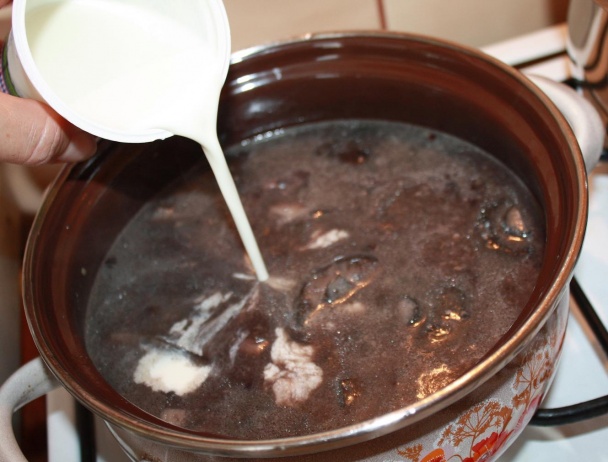 Diviak na kozákoch v čučoriedkovej omáčke (fotorecept) - obrázok 5