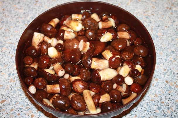 Hríbový guláš (fotorecept) - obrázok 1