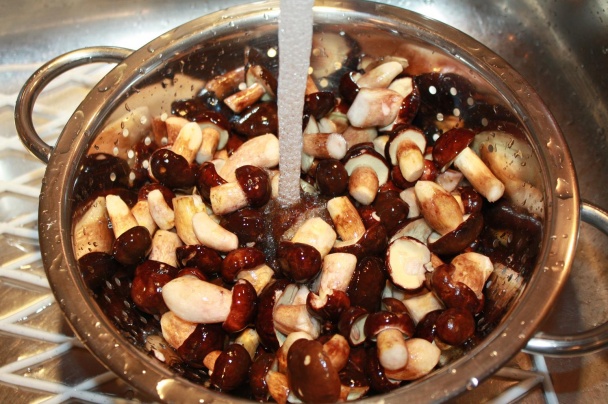 Hríbový guláš (fotorecept) - obrázok 2