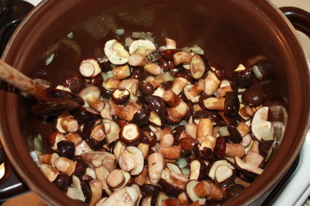 Hríbový guláš (fotorecept) - obrázok 3