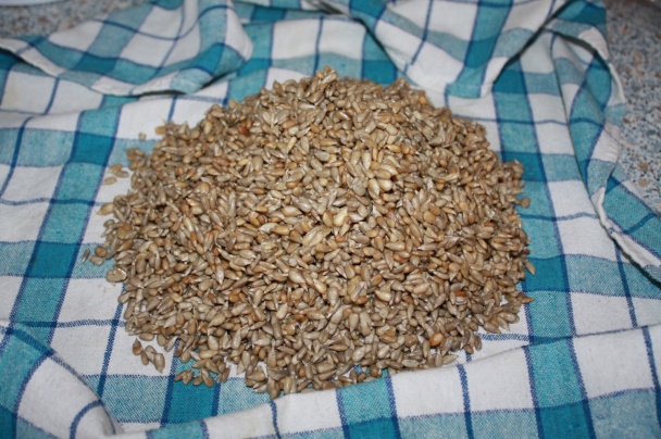 Slnečnicová torta - nepečená (fotorecept) - obrázok 1