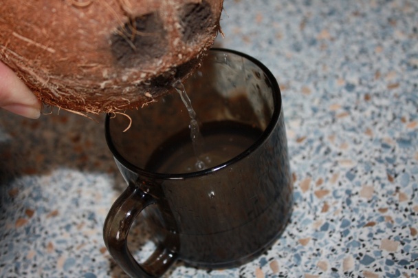 Kokosové mlieko a smotana (fotorecept) - obrázok 2