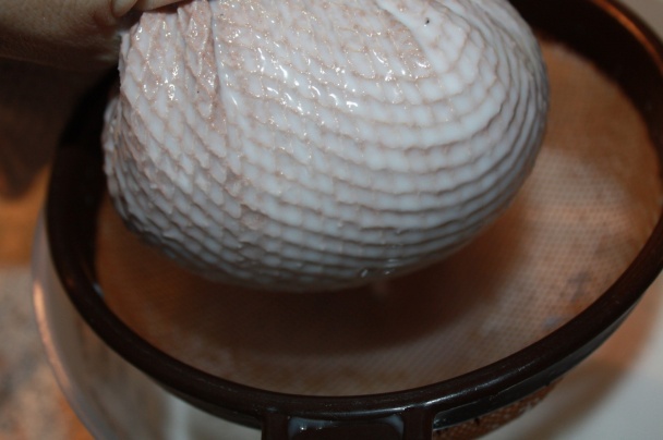 Kokosové mlieko a smotana (fotorecept) - obrázok 9