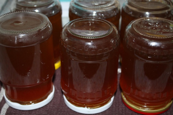 Mätový sirup (fotorecept) - obrázok 7