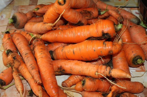 Domáca mrazená zelenina (fotorecept) - obrázok 2