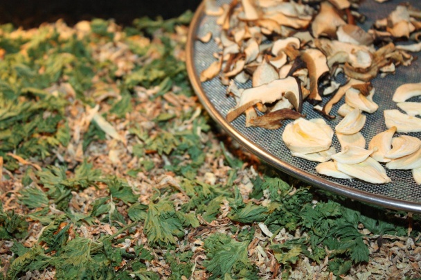 Sušená zeleninová zmes (fotorecept) - obrázok 4