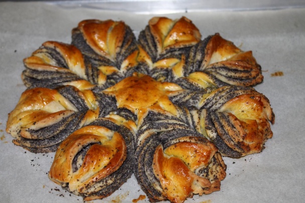 Makový kvet (fotorecept) - obrázok 13