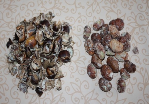 Gaštanové pyré (fotorecept) - obrázok 1