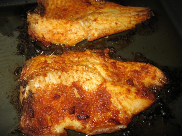 Kaukazský kapor - obrázok 2