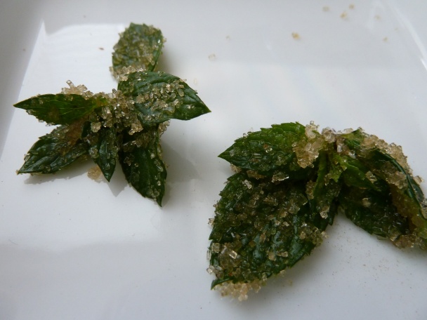 Otvorené lasagne Mojito (fotorecept) - obrázok 4