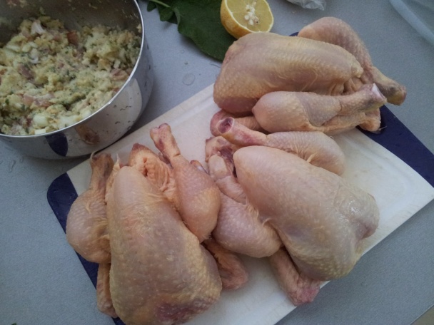 Svieže jarné minikuriatko - obrázok 2