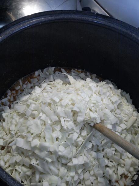 Bigos (fotorecept) - obrázok 2