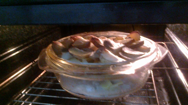 Zvyškový obed :) - obrázok 4