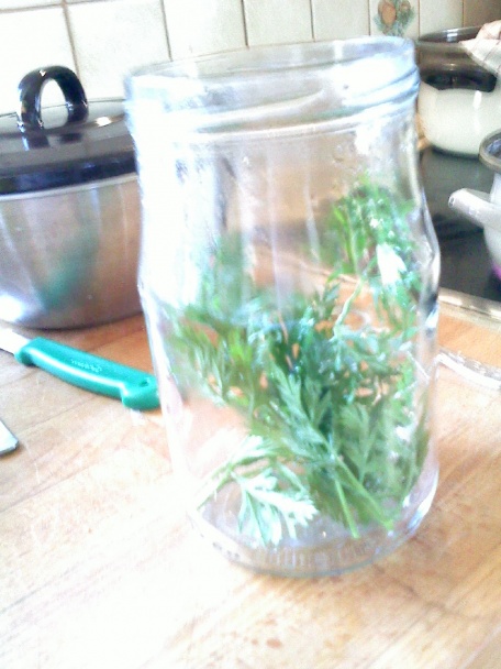 Sterilizovaná cibuľka - obrázok 6