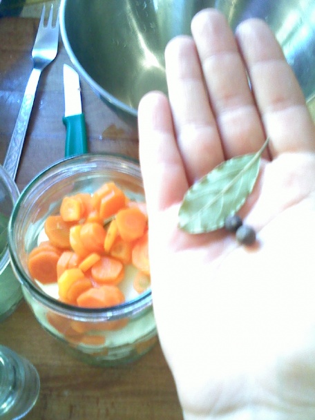 Sterilizovaná cibuľka - obrázok 8