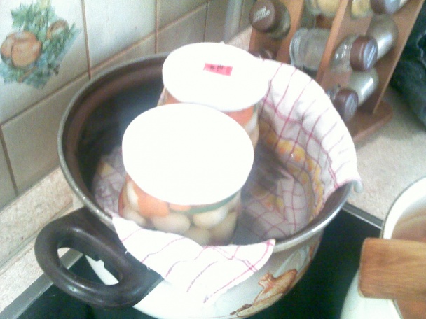 Sterilizovaná cibuľka - obrázok 10