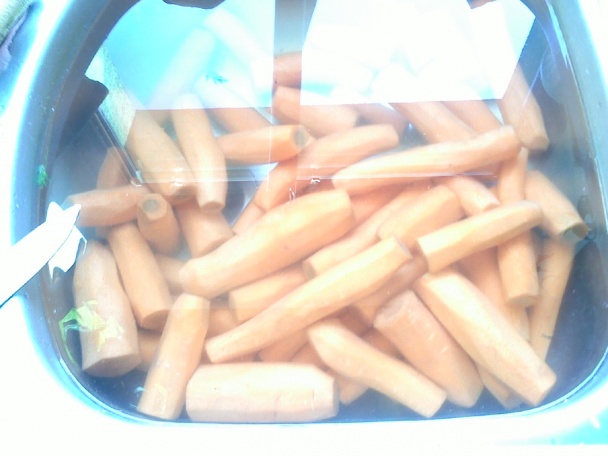 Sterilizovaná mrkva - obrázok 1