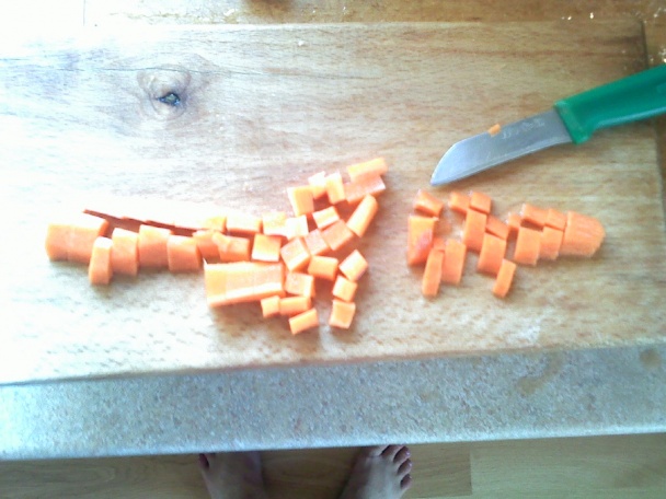 Sterilizovaná mrkva - obrázok 2