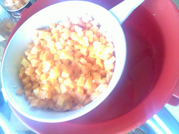 Sterilizovaná mrkva - obrázok 4