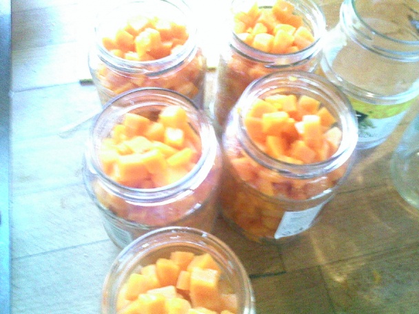 Sterilizovaná mrkva - obrázok 5