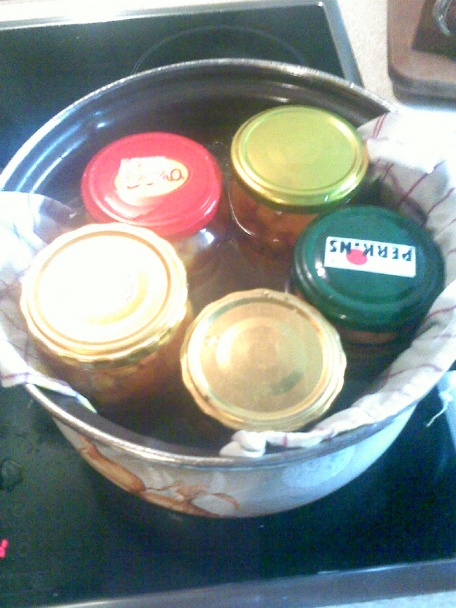 Sterilizovaná mrkva - obrázok 8