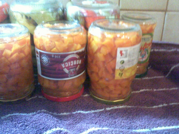 Sterilizovaná mrkva - obrázok 9