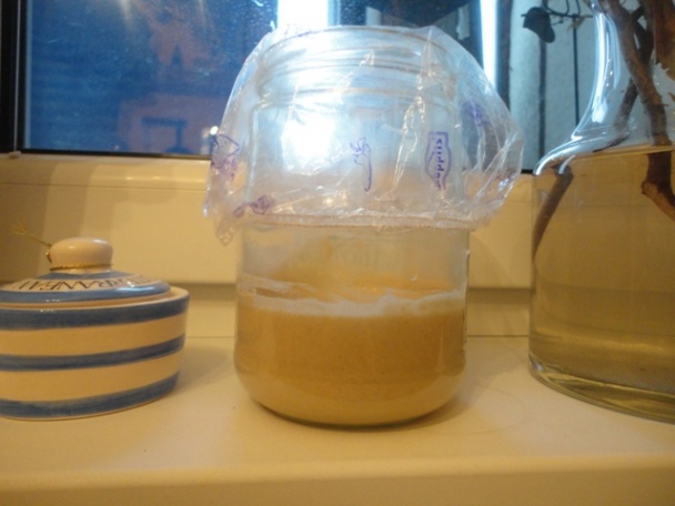 Kvások z ražnej múky - starter podľa Petra Reinhardta (fotorecept) - obrázok 1
