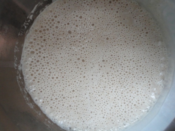 Kvások z ražnej múky - starter podľa Petra Reinhardta (fotorecept) - obrázok 3